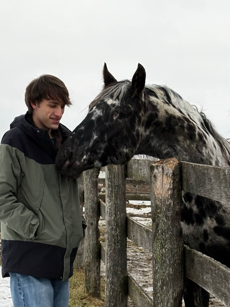 Me and a horse