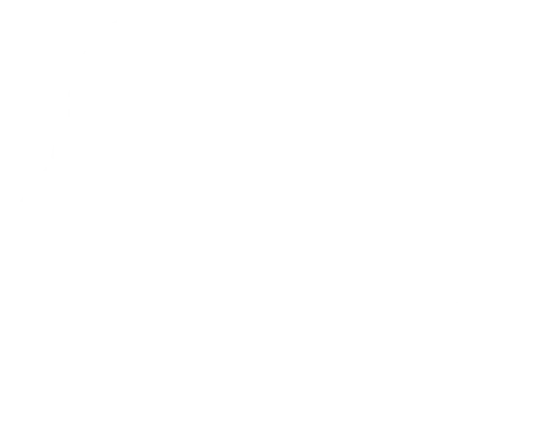 CarPass Icon